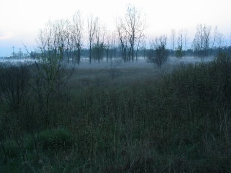 Miracle Twin Drive-In Theatre - Mist Rolling In Photo From Robert